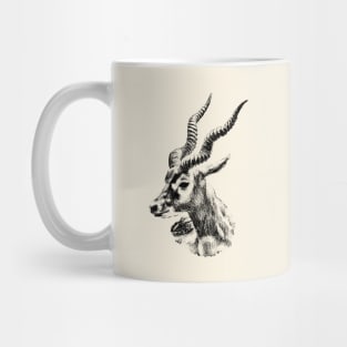 Blackbuck Mug